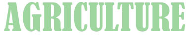 Agriculture